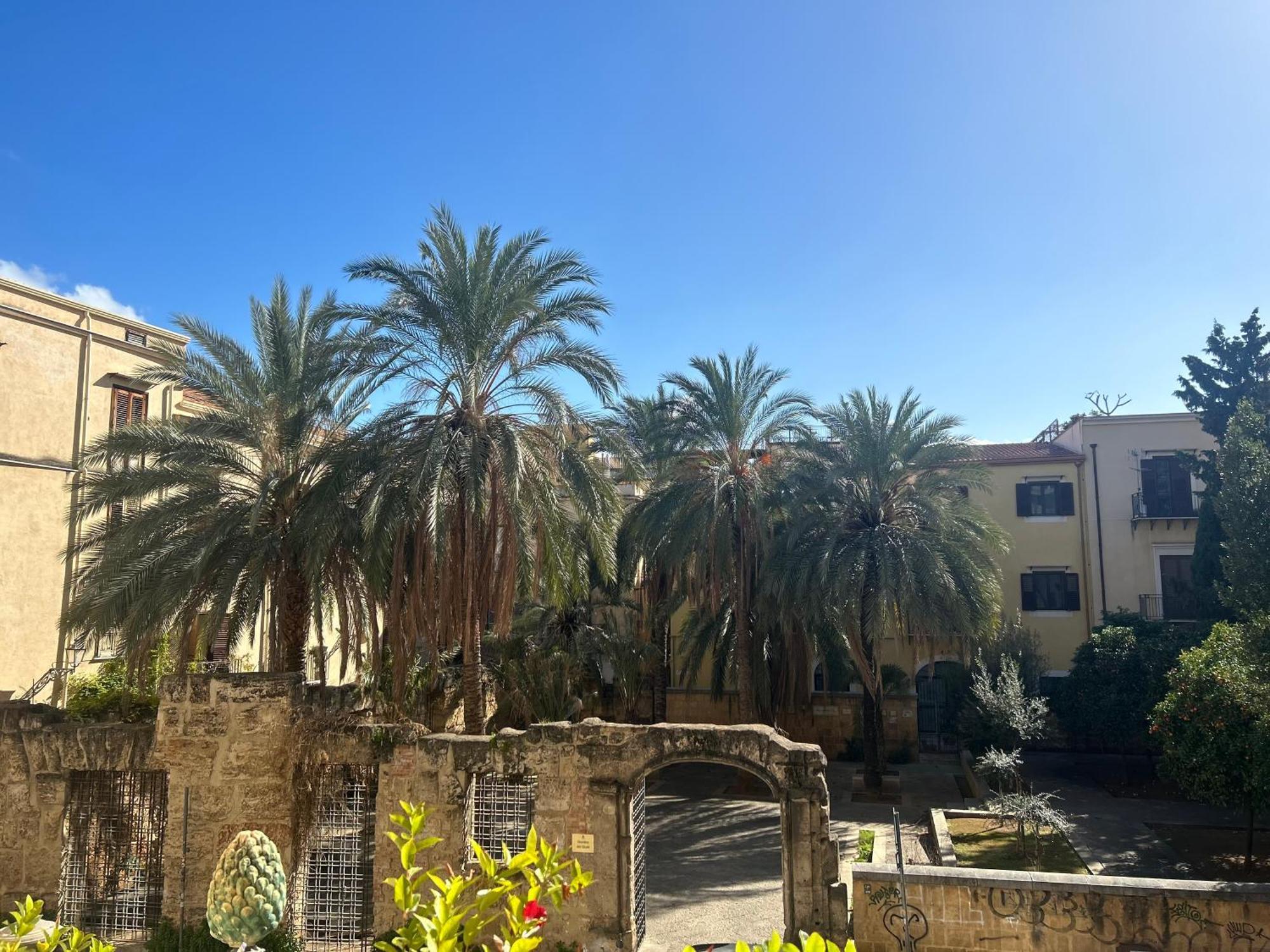 פלרמו B&B Domus Dei Cocchieri מראה חיצוני תמונה
